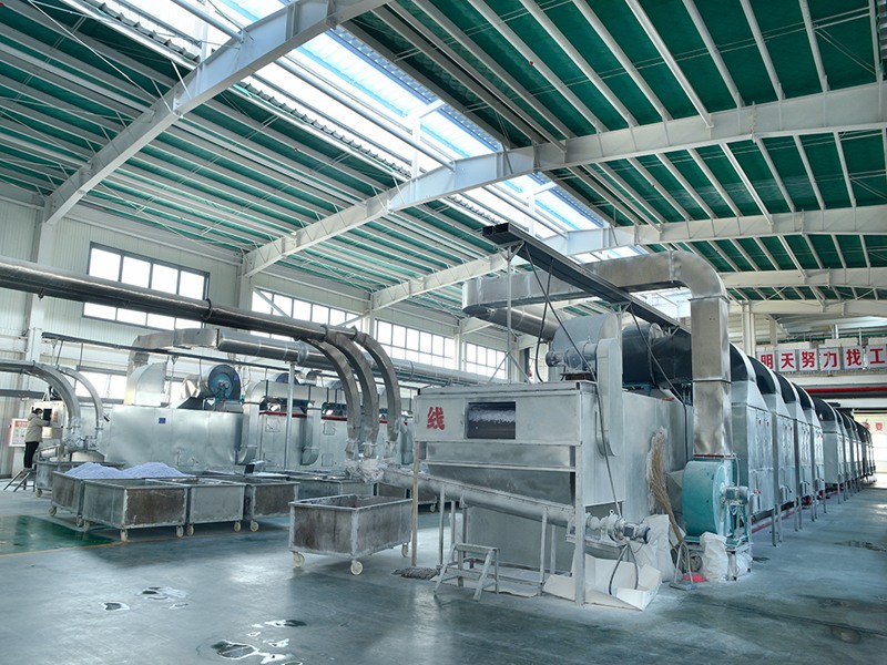 belt drying machine for amino production