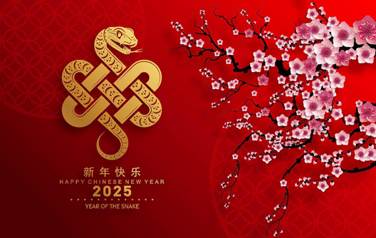 Johnley Factory Chinese Spring Festival Notice